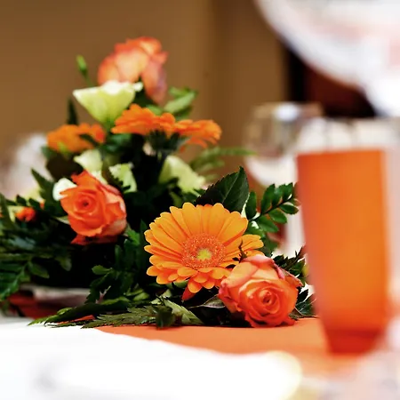 Western Delta Park 4*