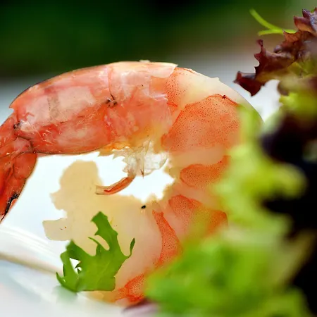 Hotel Western Delta Park Mannheim