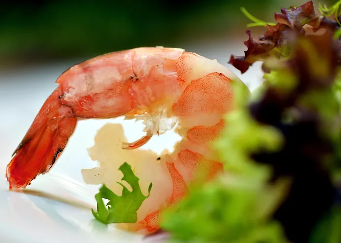 מלון Western Delta Park מאנהיים